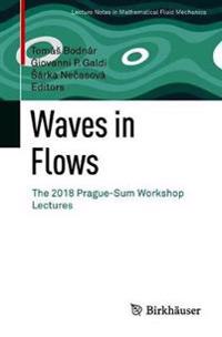 Waves in Flows