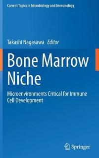Bone Marrow Niche