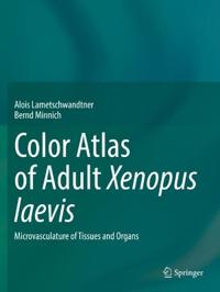 Bokomslag för "Color Atlas of Adult Xenopus laevis"