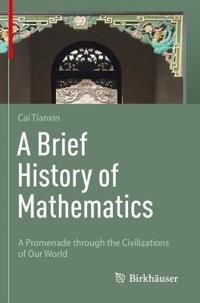 A Brief History of Mathematics