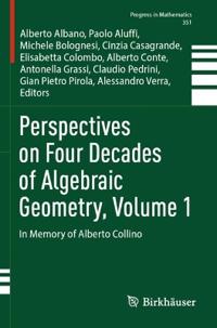 Perspectives on Four Decades of Algebraic Geometry, Volume 1
