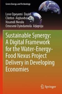Sustainable Synergy: A Digital Framework for the Water-Energy-Food Nexus Project Delivery in Developing Economies