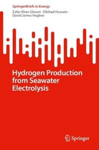 Hydrogen Production from Seawater Electrolysis