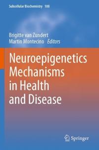 Neuroepigenetics Mechanisms in Health and Disease