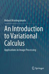 An Introduction to Variational Calculus