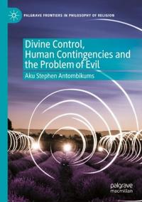 Divine Control, Human Contingencies and the Problem of Evil