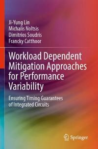 Workload Dependent Mitigation Approaches for Performance Variability