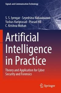 Artificial Intelligence in Practice
