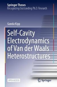 Self-Cavity Electrodynamics of Van der Waals Heterostructures
