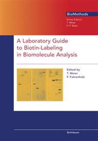 A Laboratory Guide to Biotin-Labeling in Biomolecule Analysis