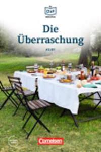 Die Uberraschung - Geschichten aus dem Alltag der Familie Schall