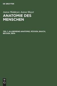 Allgemeine Anatomie, Rücken, Bauch, Becken, Bein