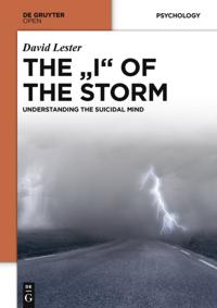 &quote;I&quote; OF THE STORM