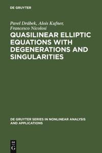 De Gruyter Series in Nonlinear Analysis and Applications