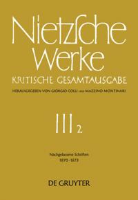 Nachgelassene Schriften 1870 - 1873