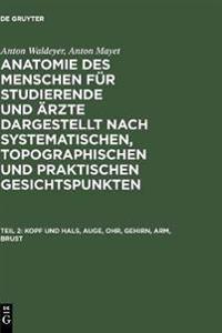 Kopf und Hals, Auge, Ohr, Gehirn, Arm, Brust