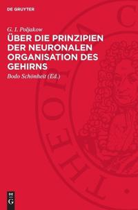 Über Die Prinzipien Der Neuronalen Organisation Des Gehirns