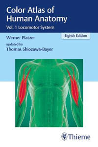 Color Atlas of Human Anatomy