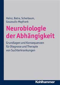 Neurobiologie Der Abhangigkeit: Grundlagen Und Konsequenzen Fur Diagnose Und Therapie Von Suchterkrankungen