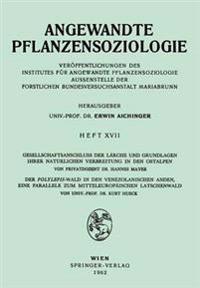 Gesellschaftsanschluss der Lärche und Grundlagen ihrer Natürlichen Verbreitung in den Ostalpen, Der Polylepsis-Wal in den Venezolanischen Anden, eine Parallele zum Mitteleurpäischen Latschenwald