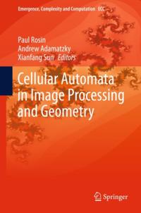 Emergence, Complexity and Computation