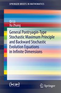 SpringerBriefs in Mathematics
