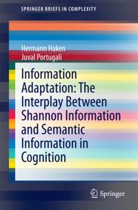 SpringerBriefs in Complexity