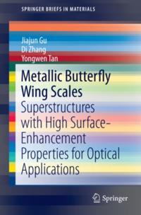 SpringerBriefs in Materials