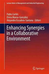 Enhancing Synergies in a Collaborative Environment