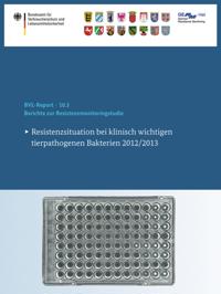 BVL-Reporte