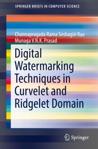 SpringerBriefs in Computer Science
