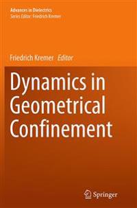 Dynamics in Geometrical Confinement