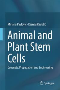 Animal and Plant Stem Cells
