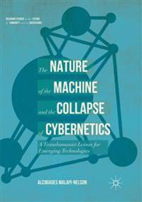 The Nature of the Machine and the Collapse of Cybernetics