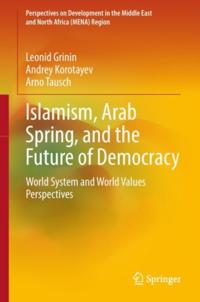 Perspectives on Development in the Middle East and North Africa (MENA) Region