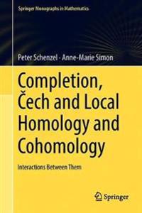 Completion, Cech and Local Homology and Cohomology