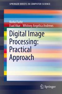 SpringerBriefs in Computer Science