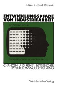 Sozialverträgliche Technikgestaltung, Hauptreihe