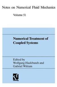 Numerical Treatment of Coupled Systems