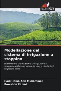 Modellazione del sistema di irrigazione a stoppino