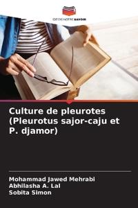 Culture de pleurotes (Pleurotus sajor-caju et P. djamor)