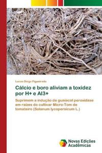 Cálcio e boro aliviam a toxidez por H+ e Al3+