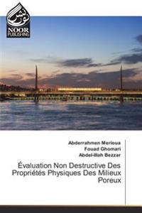 Évaluation Non Destructive Des Propriétés Physiques Des Milieux Poreux