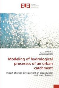 Modeling of hydrological processes of an urban catchment