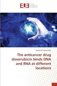 The anticancer drug doxorubicin binds DNA and RNA at different locations