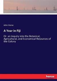 A Year in Fiji
