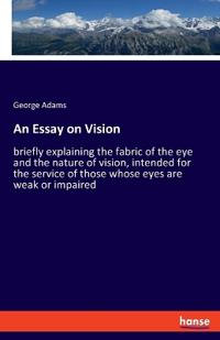 An Essay on Vision