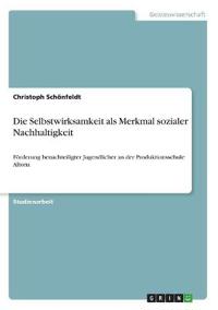 Die Selbstwirksamkeit als Merkmal sozialer Nachhaltigkeit