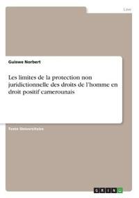 Les limites de la protection non juridictionnelle des droits de l'homme en droit positif camerounais