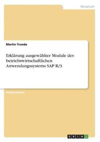 Erklärung ausgewählter Module des betriebswirtschaftlichen Anwendungssystems SAP R/3